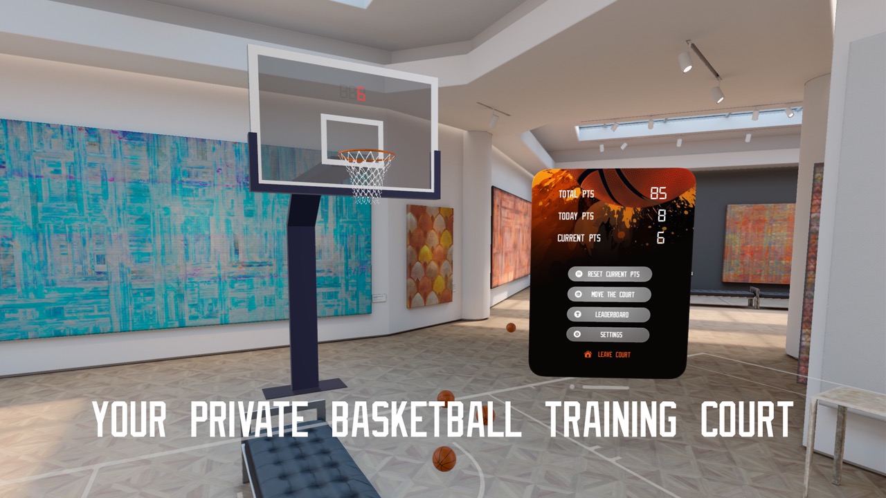 Your private basketball court screenshot