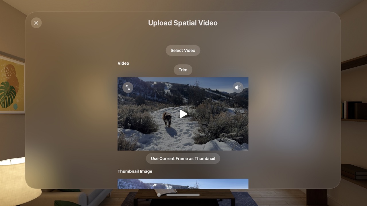 Only Spatial Videos screenshot